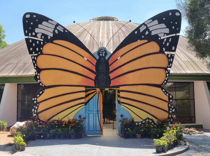 Butterfly Park, Bannerughatta, Bengaluru (Bangalore) Urban, Karnataka - Vushii.com Butterfly Park, Bannerughatta, Bengaluru (Bangalore) Urban, Karnataka - Vushii.com